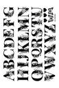 Alphabet 29 A4 Size